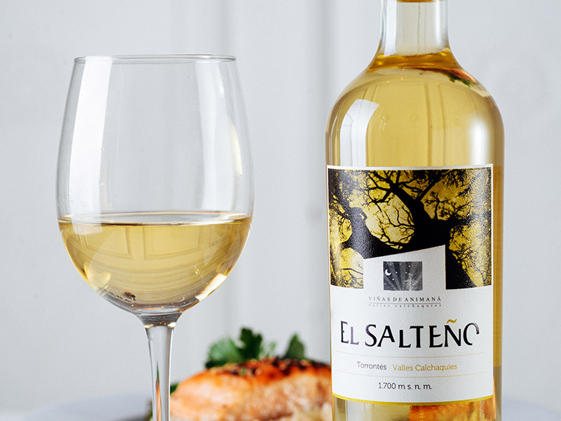 El Salteño Torrontés